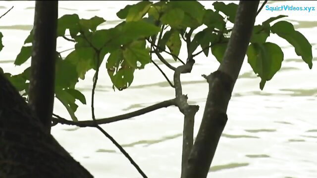 Mirei Yokoyama lush green tree branches over water, risky wife stranger fuck