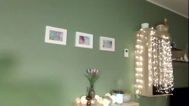 Vilo Cb cozy home setup with fairy lights, tulips, candles, art
