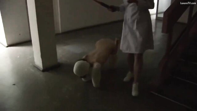 Nurse in white dress tortures crawling pet girl with electric baton