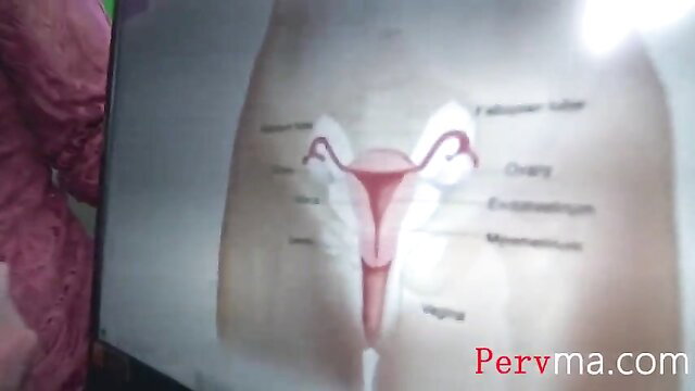 Olive Glass' detailed pussy diagram in Pervma sex ed video