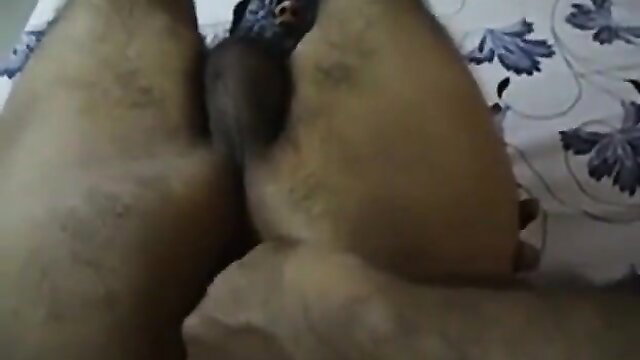 Amateur Indian Mary hairy pussy closeup spread on bed