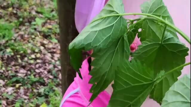 Outdoor pink outfit tit punishment close up