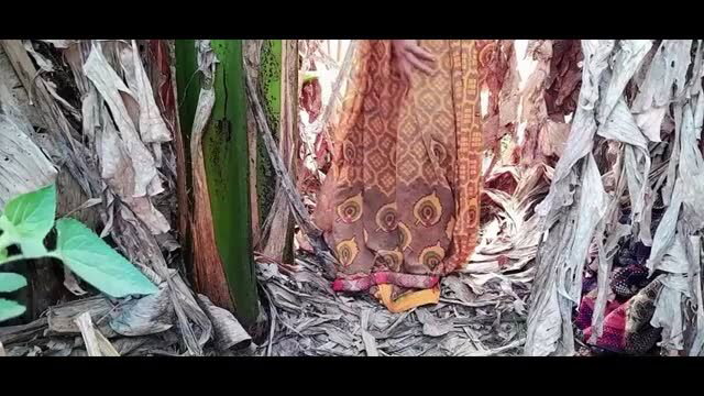 Woman in saree standing in banana garden, outdoor desi sex scene