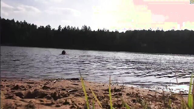 Milf with hairy pussy naked swimming in lake by beach