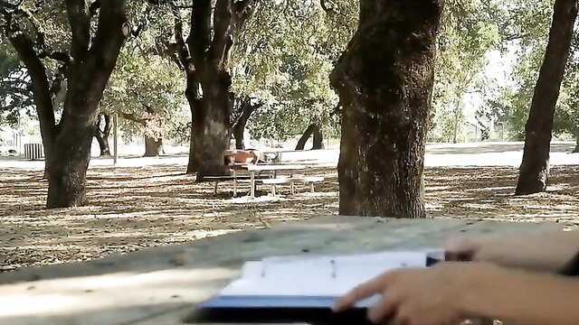 Cute guys at outdoor park picnic table in gay adult video thumbnail