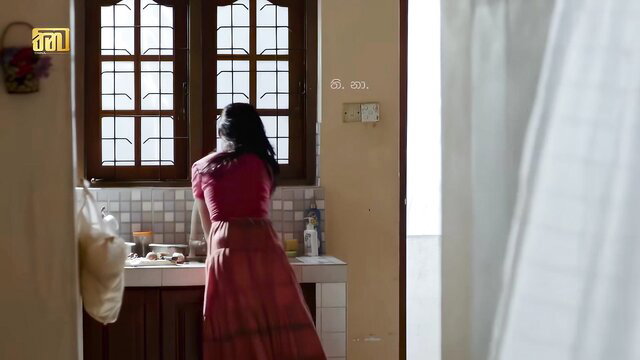 Rithika Kodithuwakku in red saree at sink, Sri Lankan professor student tease