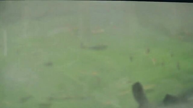 Michelle Williams in foggy green Incendiary 2008 scene