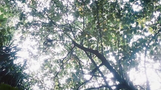 Kani Kusruti & Divya Prabhan nude in All We Imagine as Light (2024) Indian movie