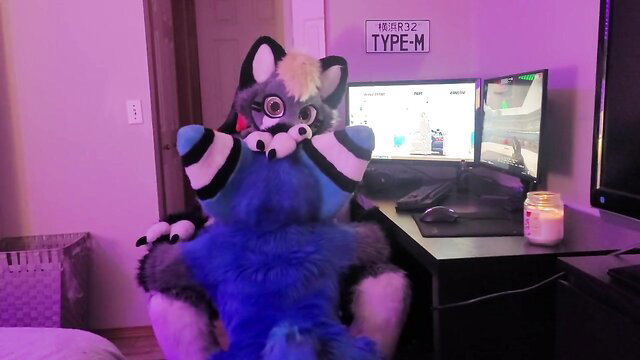 Blue furry gamer in fursuit gets sucked off by cute wolf girl furry