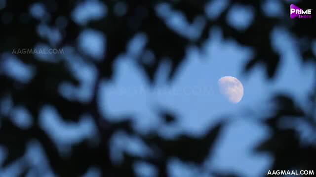 Malkin Bhabhi S02E01 moonlit night through trees, PrimeShots hot series