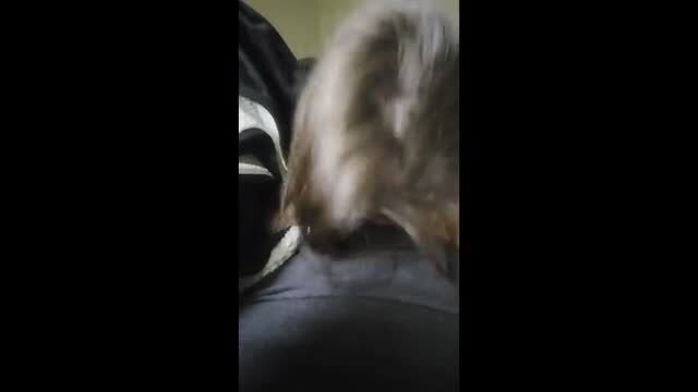 POV closeup of babe's blonde hair and mouth on cock blowjob