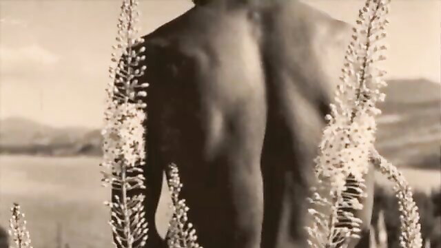 Vintage sepia photo of nude Black man's muscular back amid white flowers