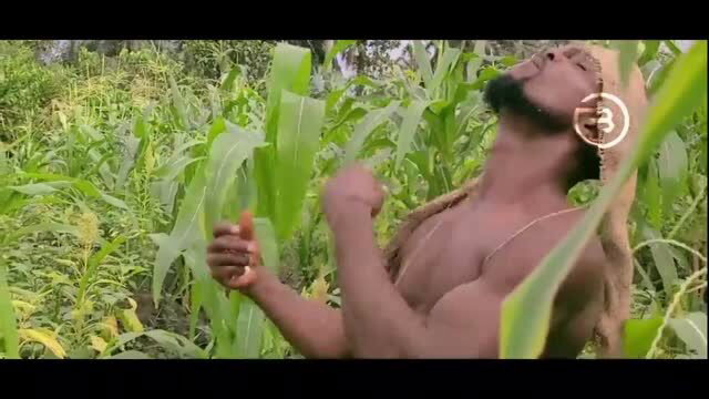 Muscular African man shirtless in cornfield holding corn cob