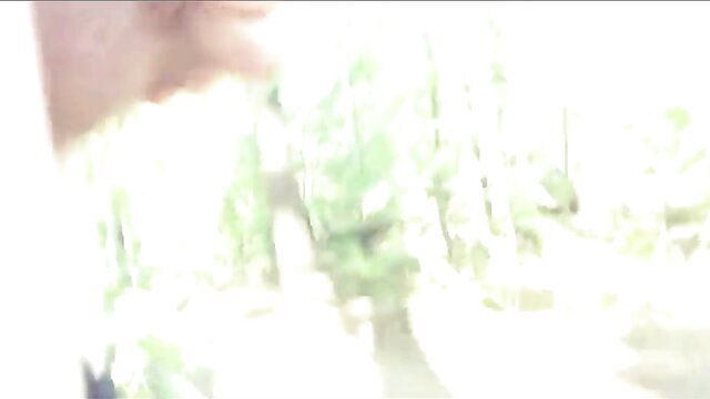 Blurry cock flash compilation thumbnail with hand and green background