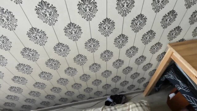 Cat chilling on ornate wallpapered ceiling with bed frame
