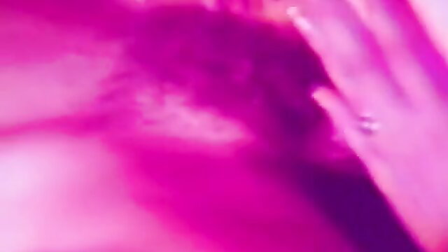 Vintage Black Pussy White American Stag Film Classic XXX Closeup