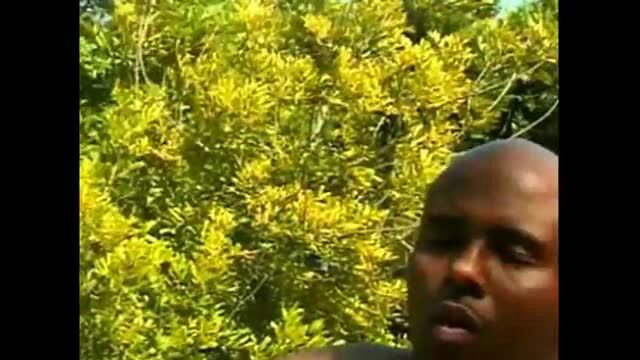 Bald ebony man outdoors with yellow flowering bush