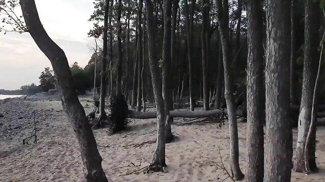 Mysterious pine forest beach at dusk, Babes studio party tease