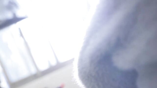 Blurry close-up of woman's pale curvy hip and thigh in soft light