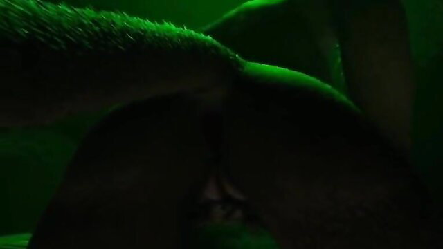 Wild furry female hentai ass closeup with penetration tease