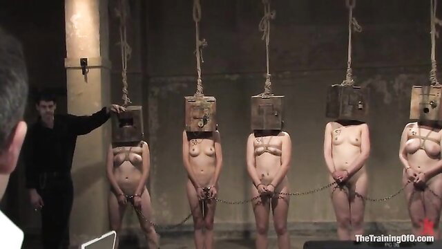 Five nude women in cardboard boxes and chains, BDSM audition bondage