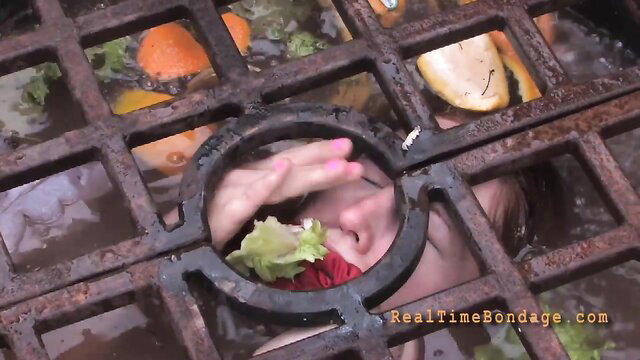 Calico's face locked in sewer grate outdoors, tormented with filth in BDSM