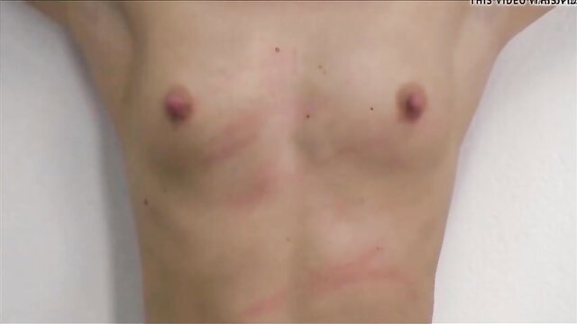 Whipped skinny slavegirl chest with red welts and erect nipples BDSM