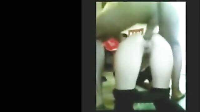 Screaming GF screams in ecstasy as she's buttfucked doggystyle