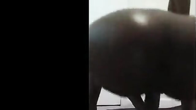 Hot babe with big round ass rides cock reverse cowgirl style