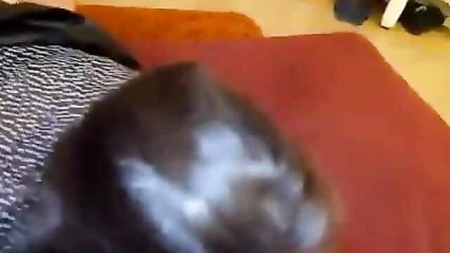 Russian wife hairy pussy closeup in amateur fuck video