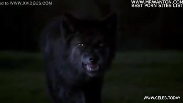 Intense black wolf snarling in dark 300 Hollywood movie scene