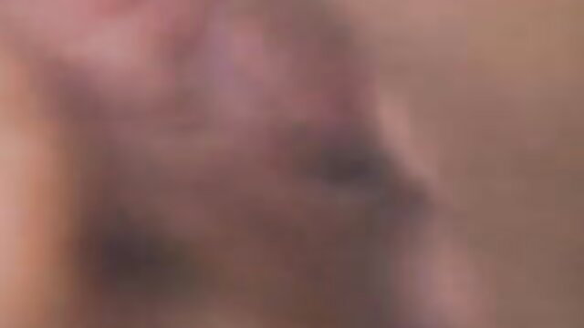 Christy Canyon sucking Ron Jeremy in classic 80s porn