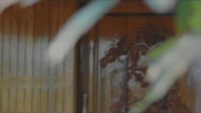 Blurry Kerala wife in affair, teasing through door with parrot