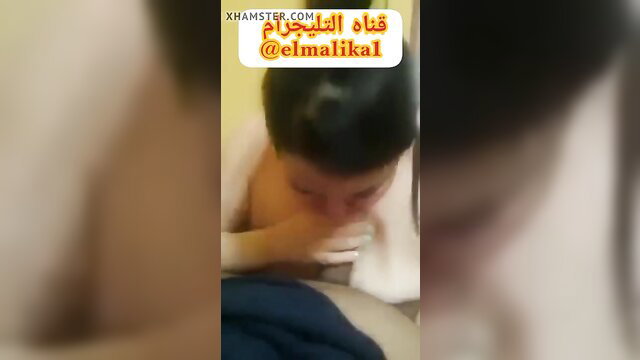 Blurry Egyptian sharmota milf closeup oral on man amateur