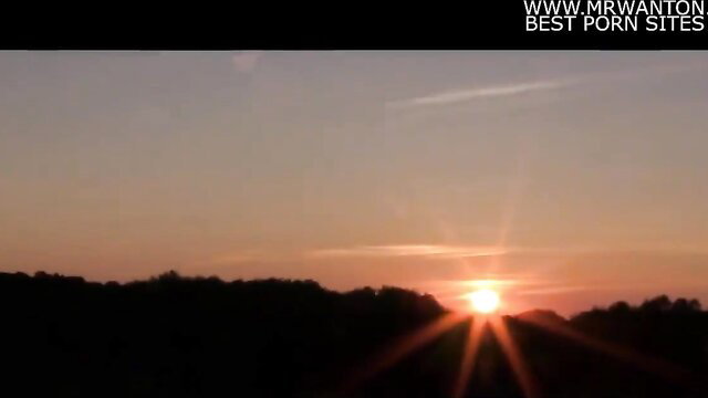 Stunning sunset over forest silhouette, hot Indian web series vibe