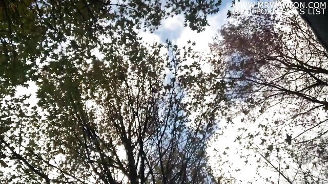 Autumn trees POV overhead view of outdoor nature sex hideout