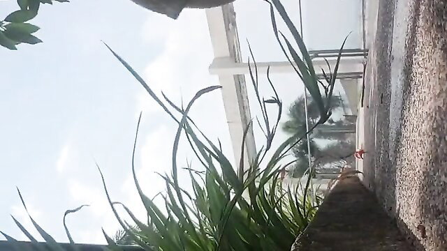 Amateur solo woman in public outdoor spot with lush green plants and modern building