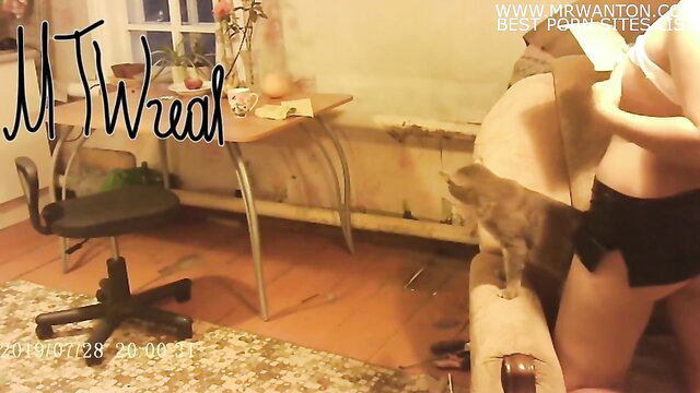 MT Wheat amateur handyman fuck with cat beside her on couch