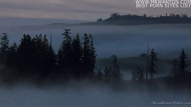Misty forest landscape at dusk with pine trees and fog, Mom Lovers HD porn