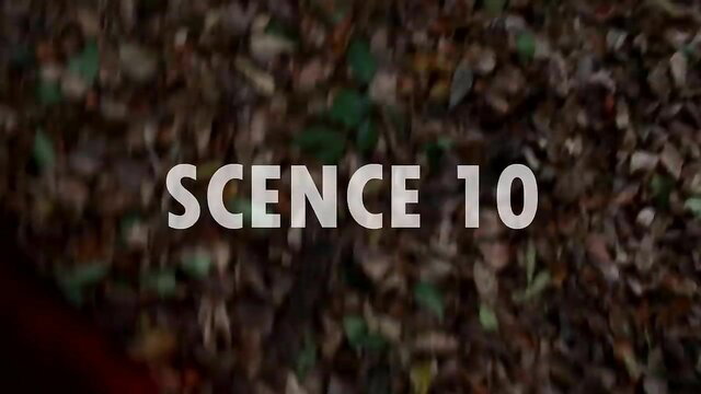 Wetheadmedia Scene 10: Wet brunette in autumn leaves tease