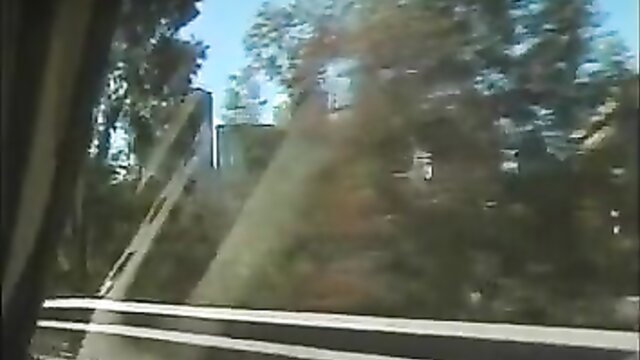 Retro 90s USA adult video thumbnail with trees and city view from car