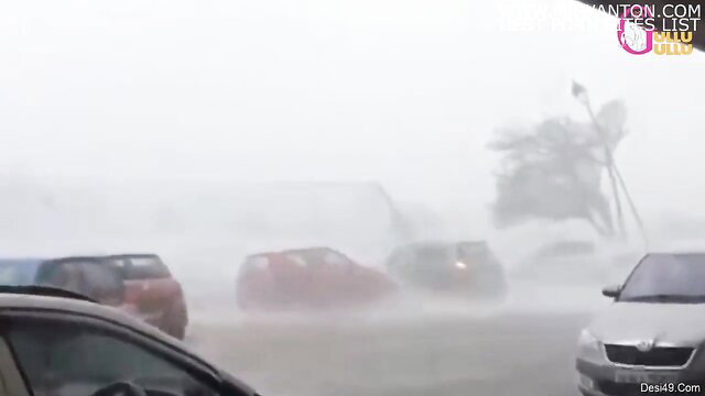 Cars in heavy fog and rainstorm, poor visibility driving chaos