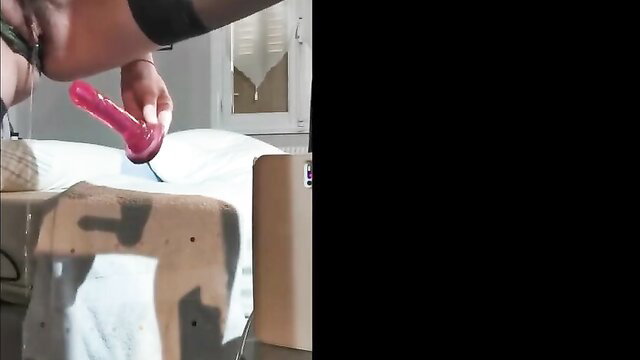 Hot amateur babe upskirting fans with pink dildo tease in stockings