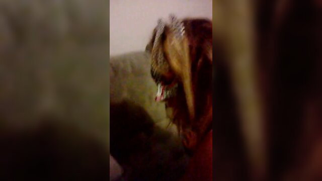 Blonde woman on all fours with mouth open, intense close-up