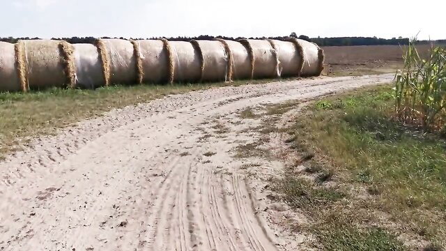 Hay bales in sunny field with dirt road, rural hike scenery