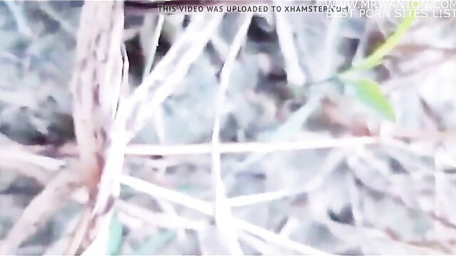 Blurry outdoor village scene with plants, no explicit action visible