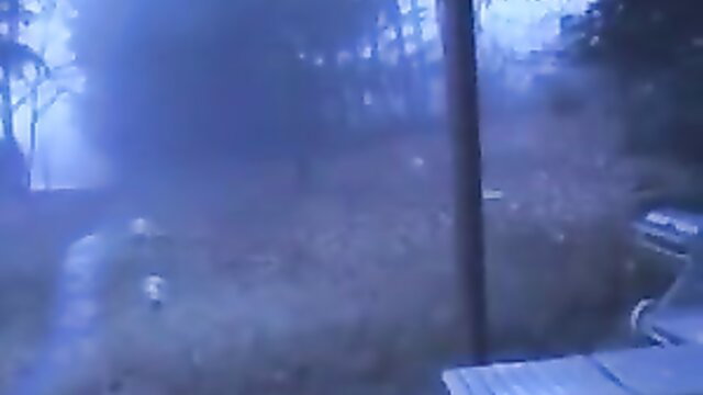 Misty forest path at dusk with foggy woods and tall pole