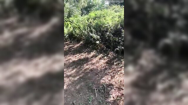 Blurry outdoor woods with dense green bushes and dirt path