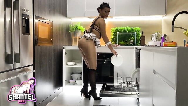 ShantelDee big booty maid in lingerie stockings bending over dishwasher