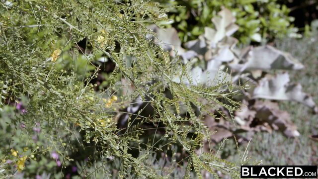 Sexy blonde Blacked model in garden with lush plants